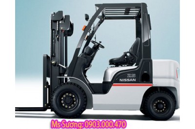 XE NÂNG HÀNG VIỆT NAM